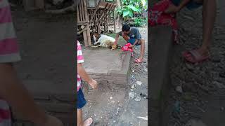 Download lagu rejeki pertama setelah 5blan mulai belajar ternak kambing mp3