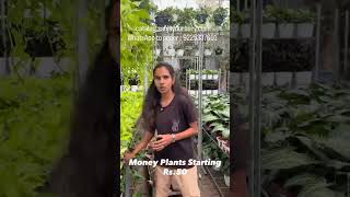 Propagation hack