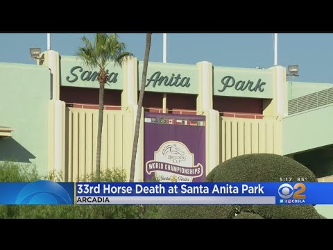 Another Horse Dies At Santa Anita Park