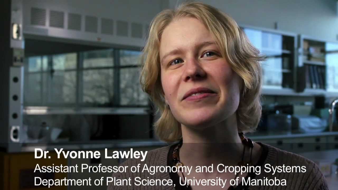 Plant / Soil Interactions