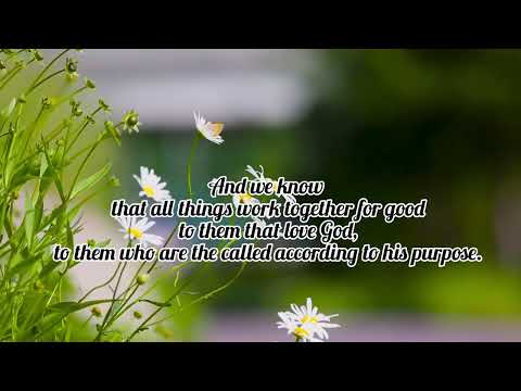 Romans 08:28 | Daily Bible Verse | Word Of God | #We_For_Christ