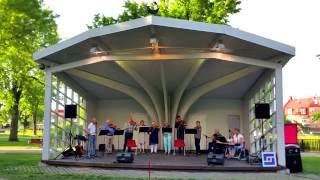 Sommaren är kort - Tjust Spelmanslag spelar och sjunger allsång i Västerviks Stadspark