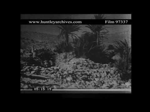 North Africa.  Irrigation.  Archive film 97337