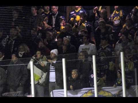 This is Boro Supporter