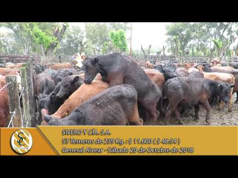 20-10-18 Venta de Machos - Remate Aniversario - Sivero y Cía. S.A. - Gral. Alvear