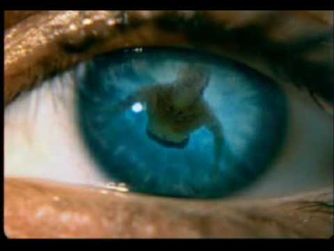 Bounty "face" commercial
