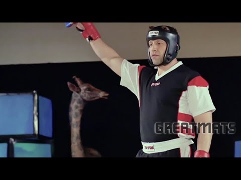 Alex Dingmann - 2018 Infinity National Champion - Sport Karate Sparring