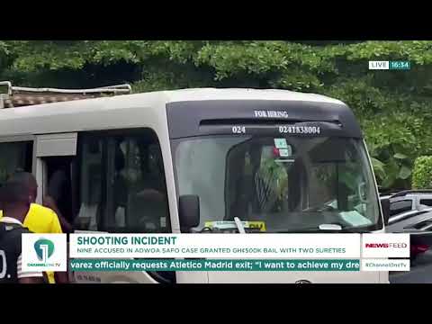 Adwoa Safo Shooting Trial: Accused Released on GH¢500,000 Bail with Conditions | Ghana News