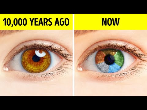 People Used To Have Just One Eye Color