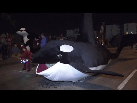 Murga "El gran mundo marino" - Cerro David Fuentes - Carnaval de Talcahuano 2015