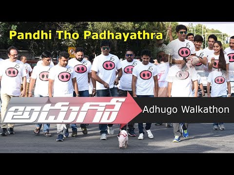 Pandhi Tho Padhayatra Conducted by Adhugo Team