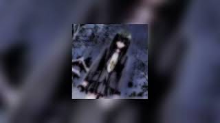 draco - future (sped up + pitched)