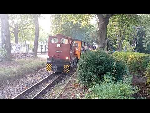 Diesel Dampfzug bei der Parkeisenbahn in der Wuhlheide.