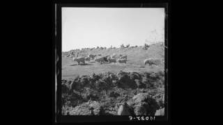 American Folk Music (CA): Uncle Rat