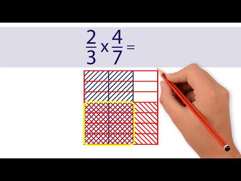 Multiply two fractions using models. Grade 5