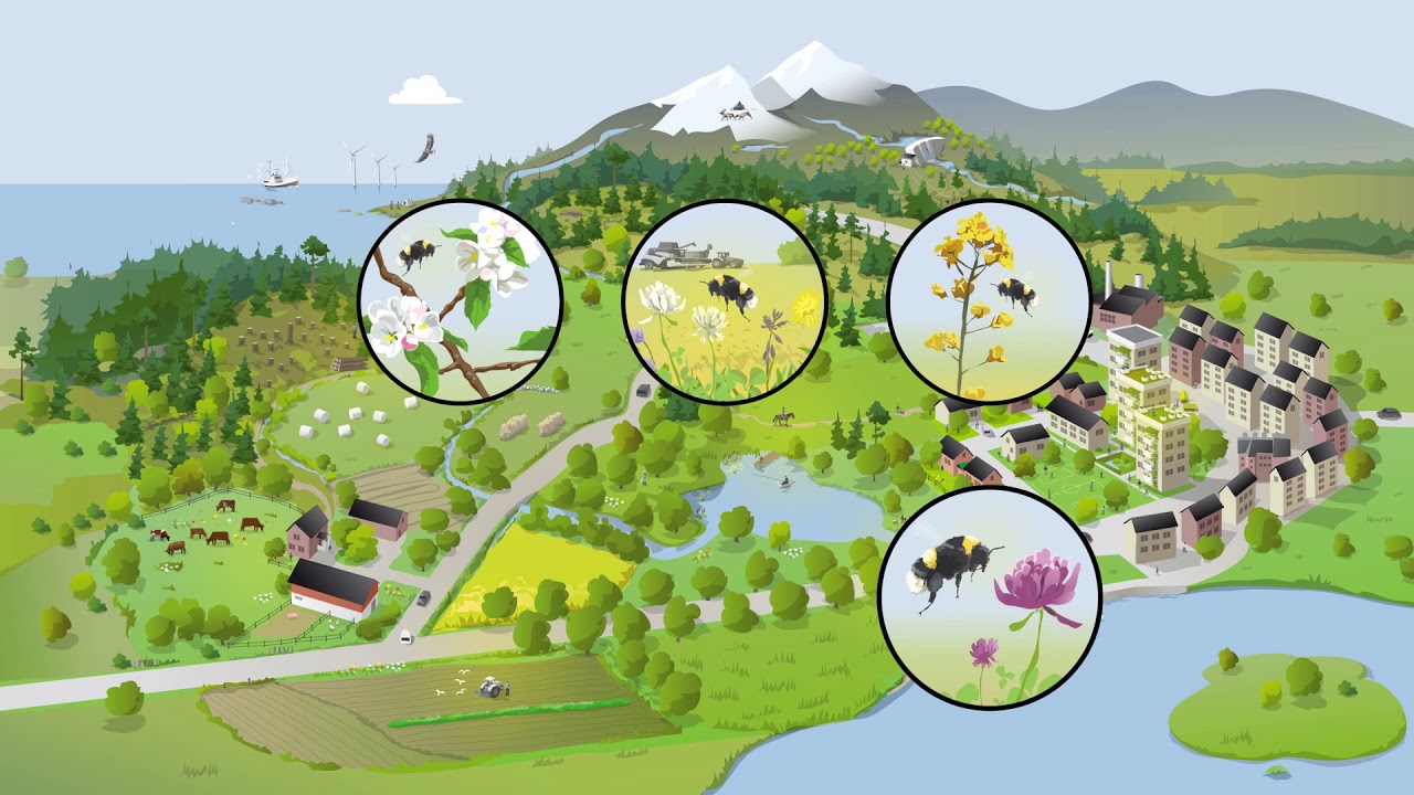 Green Infrastructure - Sustainable Landscapes | Swedish EPA