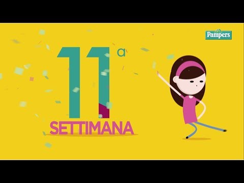 11° settimana di gravidanza