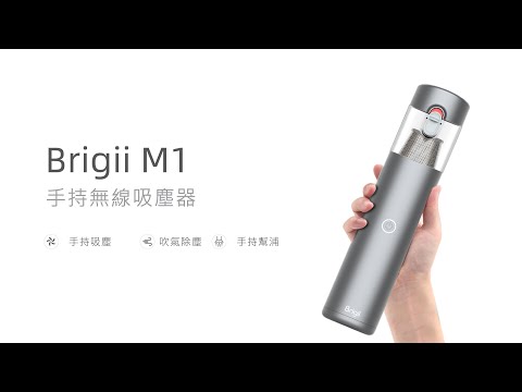 Brigii