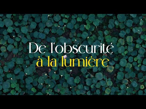 De l’obscurité à la lumière