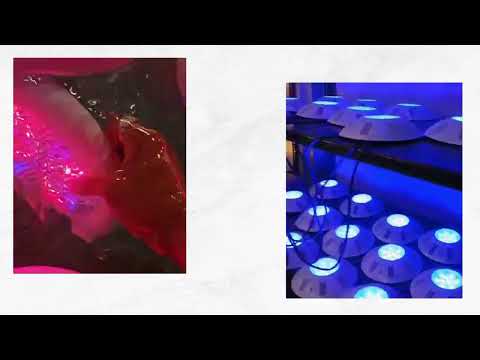 Ultra-Slim ABS Underwater Swimming Pool Luminaire