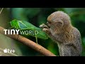 Tiny World Official Trailer Apple TV