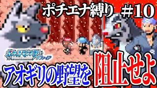【ポチエナ縛り】アオギリの野望を阻止して隕石を取り戻せ！【ポケモンサファイア#10】
