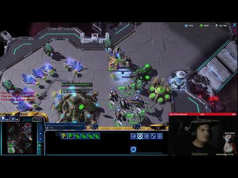 StarCraft 2 Protoss vs Zerg Aggro