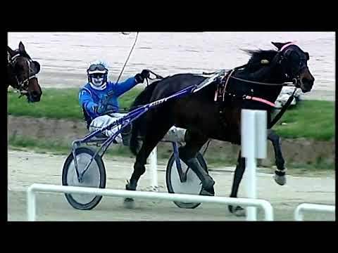 Napoli Trotto 01/04/2022 - 4ª corsa