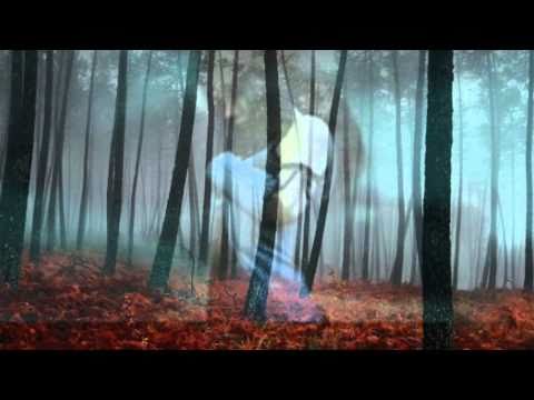 Republic - Erdő közepében ~♥~