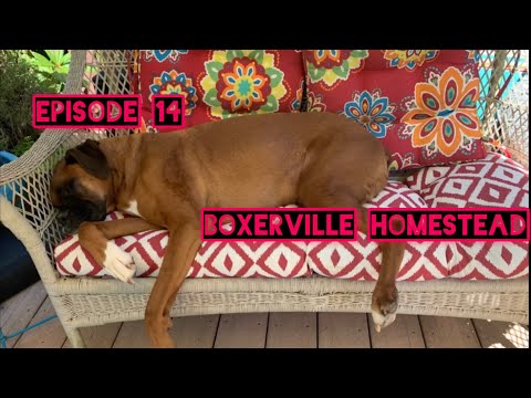 Knitting Podcast Tons  of WIPS @twoofwands @anitalianknitter  @therepublicofme @alicetop