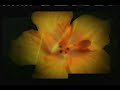 Encore ID 2006 3