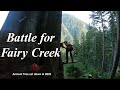 A Battle for Fairy Creek