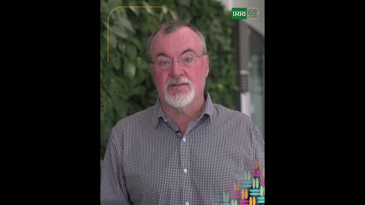 Collaboration is essential to accelerating the transition to low-carbon rice systems.