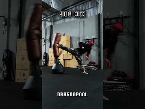 Side Kick #tutorial #training #ytshorts #yt #shortsvideo #shortvideo #usa #india #youtubeshorts #mma