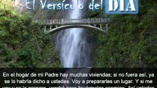Miniatura del video: El versiculo del dia .com - Juan 14 v2-3
