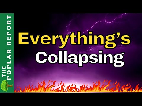 Regional War Soon! Everything Is Collapsing! US Grocery Stores Banning Shopping! Food Shortage Updates! - Poplar Report
