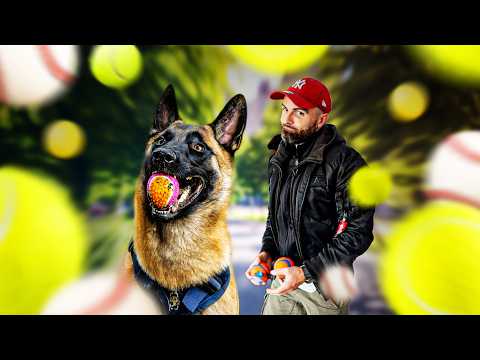 "My dog is obsessed with balls!" MALINOIS - A coffee and it's done Ep8