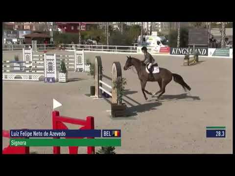 FAPE SIGNORA by Stolzenberg (Stakkato) x Acorado (2005) @CSI2* Oliva, février 2020