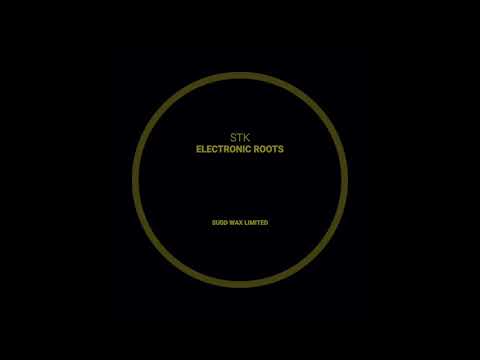 B1 - STK - Jazzoriented (DJ SCSI Detroit Citi Remix)