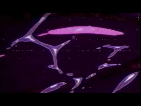 Kiloyugi - WALK DOWN (PROD.YUNG GLIZZY!) [LYRICS IN DESCRIPTION]