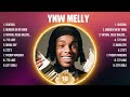 YNW Melly Greatest Hits 2024 Pop Music Mix Top 10 Hits Of All Time