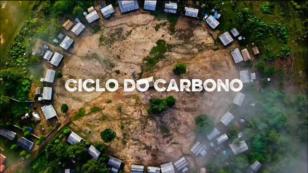 Ciclo de Carbono e os Povos Indígenas