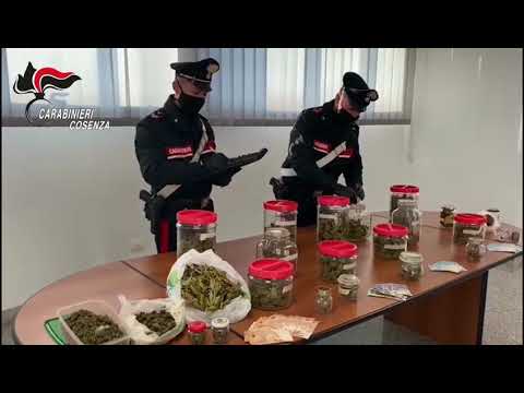 Operazione Salamandra a Cosenza e nell'hinterland