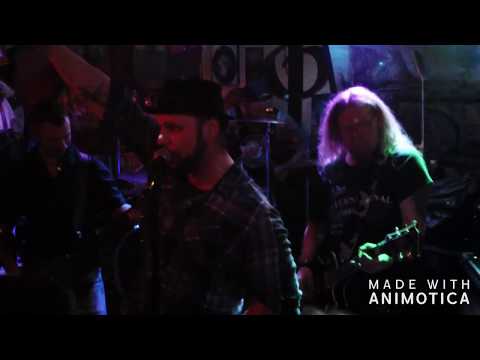 schreiber - laut und geil