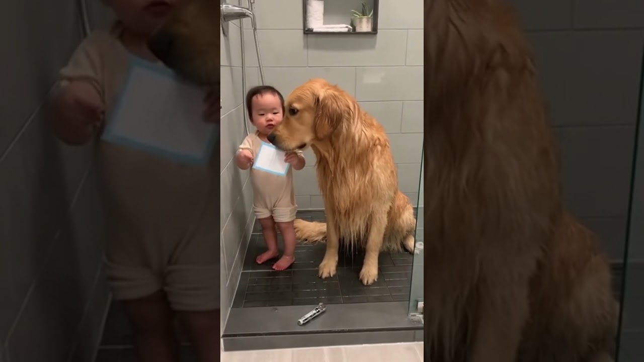 A Baby and a Dog