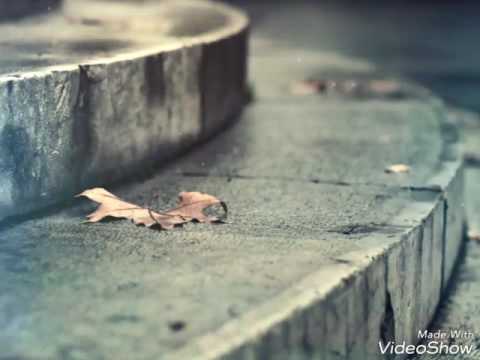 SHO & ABADA - Зинаи Нав!