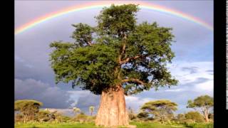 Orchestra Baobab Feat Natou SARR et Ndeye SECK Ndame Lo