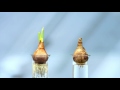 Nongfu Water Nutrients Experts Flower Experiment IIII