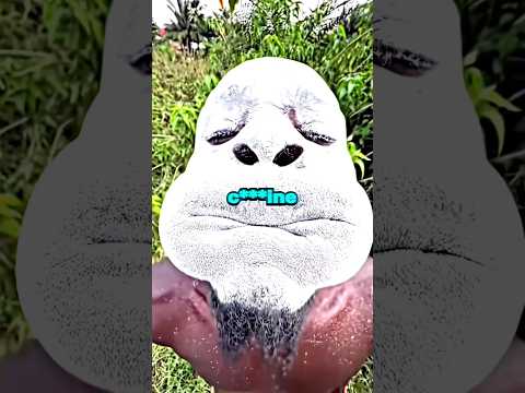 The Secret Formula of Coca-Cola 🤯