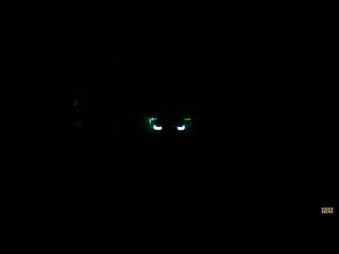 Gino J - Cartier [Official Music Video]